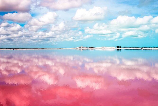 Pink Lake Las Coloradas + Rio Lagartos Reserve! Transportation from Cancun - What Travelers Are Saying