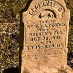 Pirates and Privateers Cocktail Tour in St Augustine - Who Should Consider This Tour?