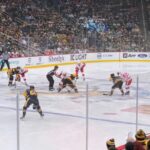 Pittsburgh: Pittsburgh Penguins Ice Hockey Game Ticket - The Game Experience