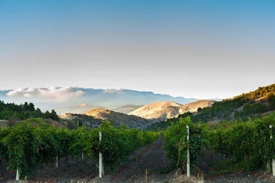 Placer County Digital Wine Tasting Passport - How the Itinerary Works: A Closer Look