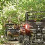 Playa del Carmen Buggy Tour with Cenote Swim and Mayan Village Visit - What Travelers Say