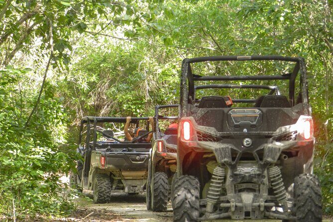 Playa del Carmen Buggy Tour with Cenote Swim and Mayan Village Visit - What Travelers Say