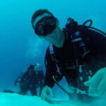 Playa del Carmen: Cenote Diving for Certified Divers - The Itinerary: What to Expect from Start to Finish