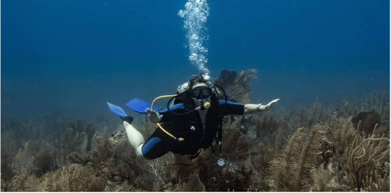 Playa del Carmen: Discover Scuba Diving - Final Thoughts