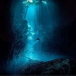 Playa del Carmen: Diving in Cenotes The Pit and Dos Ojos - The Experience and What You’ll Gain