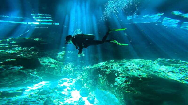 Playa del Carmen: Dos Ojos Cenote 2 scuba dives without tran - Who Will Love This Tour?