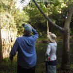 Playa del Carmen: Guided Birdwatching Hike - The Importance of Expert Guidance