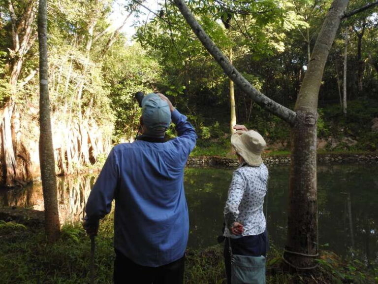 Playa del Carmen: Guided Birdwatching Hike - The Importance of Expert Guidance