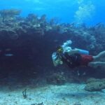 Playa del Carmen: Introductory Scuba Diving at Coral Reefs - Who Should Consider This Tour?