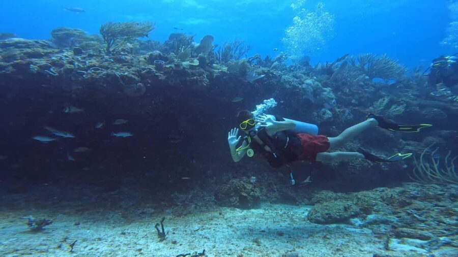 Playa del Carmen: Introductory Scuba Diving at Coral Reefs - Who Should Consider This Tour?