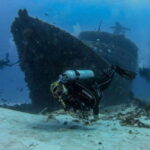 Playa del Carmen: MamaViña Wreck & Reef for Certified Divers - The Itinerary: What to Expect on the Day