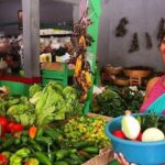 Playa del Carmen Mexican Cooking Class - Why You Should Consider This Class