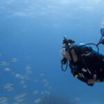 Playa del Carmen: Ocean Dive Tour - The Sum Up