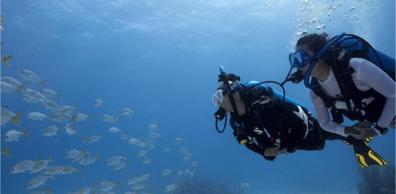 Playa del Carmen: Ocean Dive Tour - The Sum Up