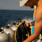 Playa del Carmen: Refresher Dive - What to Expect from the Playa del Carmen Refresher Dive