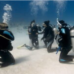Playa del Carmen: Scuba Diver Certification Course - Practical Details and What You Should Know