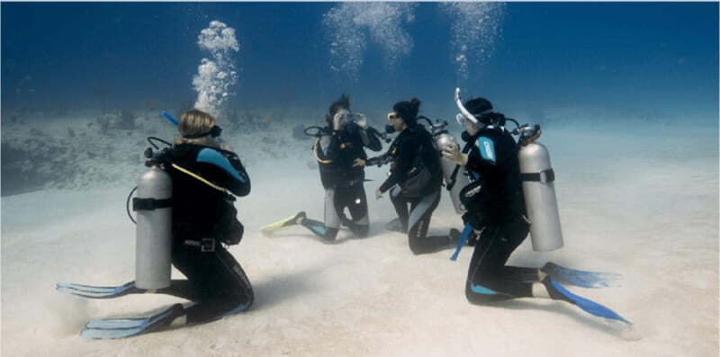 Playa del Carmen: Scuba Diver Certification Course - Practical Details and What You Should Know