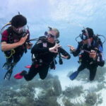 Playa del Carmen: Ultimate PADI Open Water Diver Experience - What’s Included and What’s Not