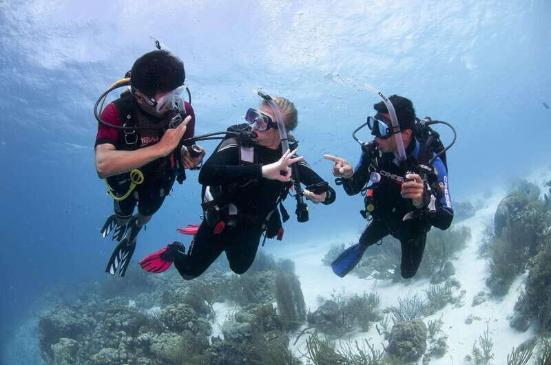 Playa del Carmen: Ultimate PADI Open Water Diver Experience - What’s Included and What’s Not