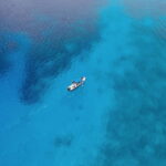 Playa: Dive in Cozumel - Breaking Down the Itinerary