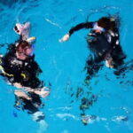Playa: Scuba Discovery - What to Expect from the Experience