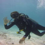 Playa: Wreck Dive - The Authenticity and Educational Aspect