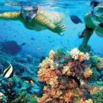 Pleasure Adventure over Catamaran to Isla Mujeres from Cancún - Practical Considerations and Tips