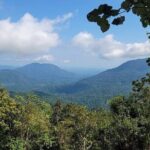 Pluma Hidalgo Coffee Experience - Who Should Join This Tour?