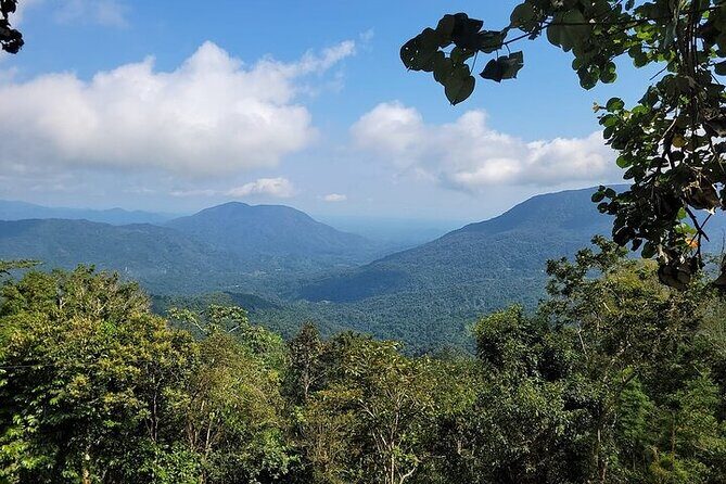 Pluma Hidalgo Coffee Experience - Who Should Join This Tour?