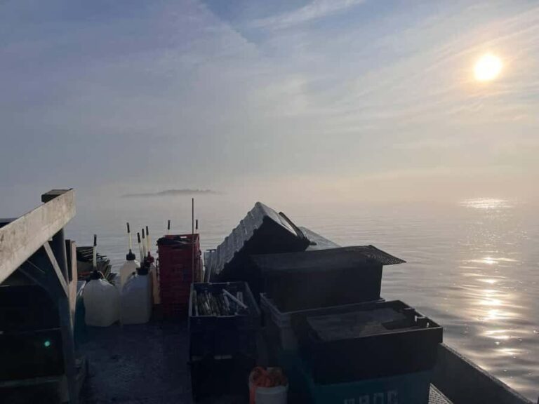 Plymouth: Oyster Farm Boat Tour with Tasting - What’s Included in the Experience?