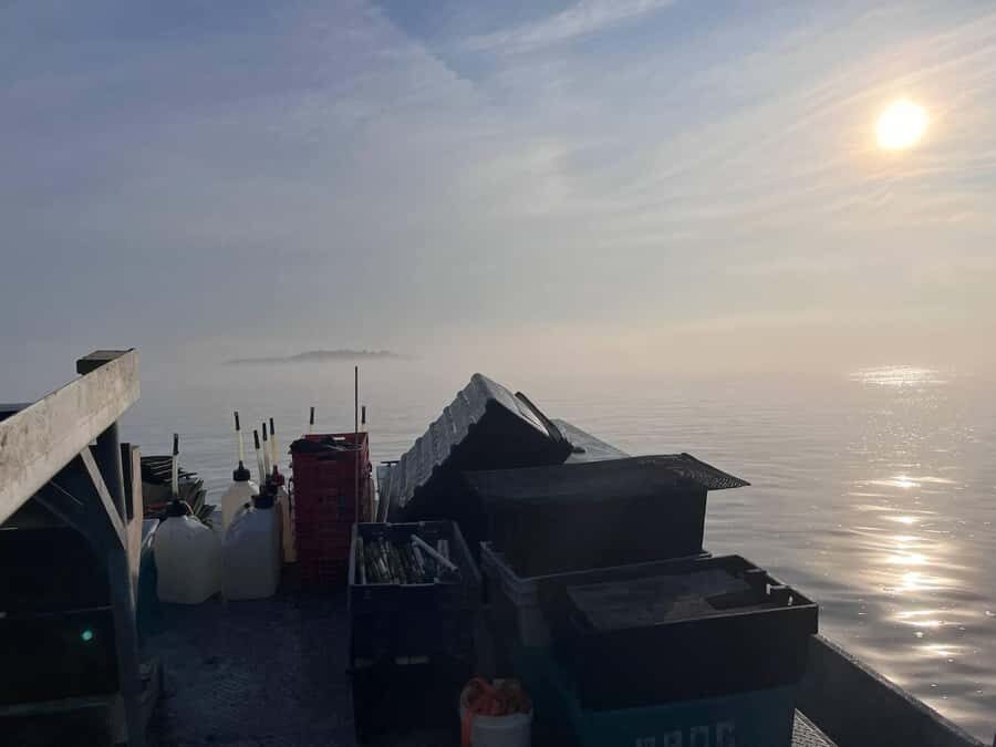 Plymouth: Oyster Farm Boat Tour with Tasting - What’s Included in the Experience?