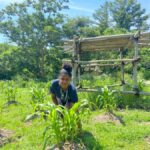 Plymouth: Plimoth Patuxet 17th-C Living History Museums - A Deep Dive into the Experience