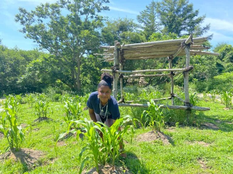 Plymouth: Plimoth Patuxet 17th-C Living History Museums - A Deep Dive into the Experience