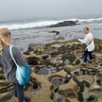 Point Loma Tide Pool Tour - What Travelers are Saying (Based on available reviews)