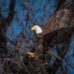 Port Alice: Sea Otter and Wildlife Watching Boat Tour - Authentic Experiences and Traveler Perspectives