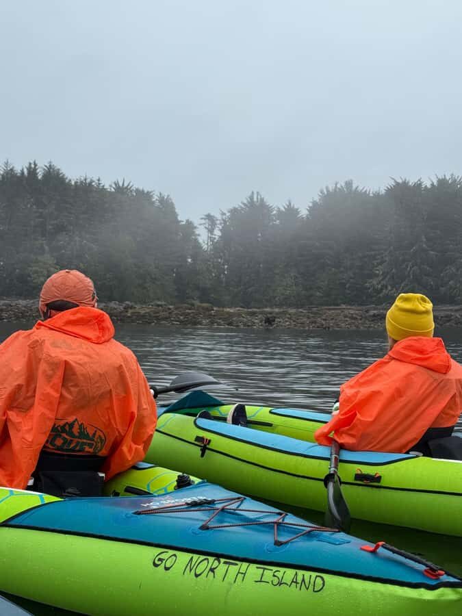 Port Hardy: Keogh River Bear/Wildlife Kayak Tour - Value and Overall Impression