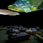 Portland Art Museum Entry Ticket - The Renovated Spaces and Amenities