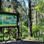 Portland: Forest Park Bike or E-Bike Tour - Why This Tour Is Worth Considering