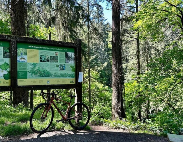 Portland: Forest Park Bike or E-Bike Tour - Why This Tour Is Worth Considering