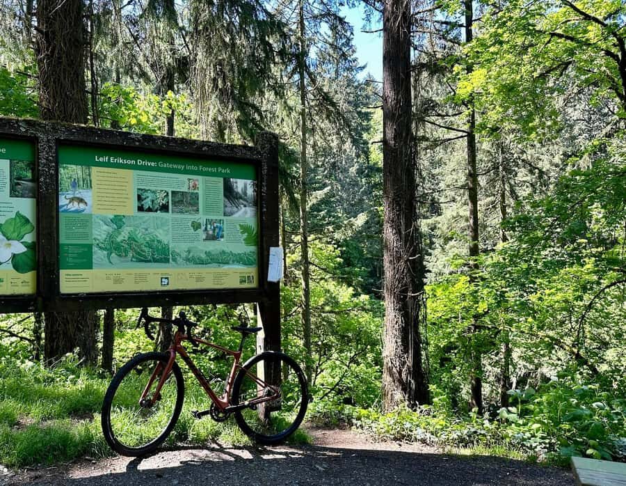Portland: Forest Park Bike or E-Bike Tour - Why This Tour Is Worth Considering
