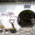 Portland: Lan Su Chinese Garden General Admission Ticket - Authentic Cultural Experience and Visitor Impressions
