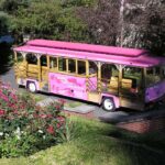 Portland, Oregon: Gray Line Pink Trolley Hop-On Hop-Off Tour - Who Should Consider This Tour?