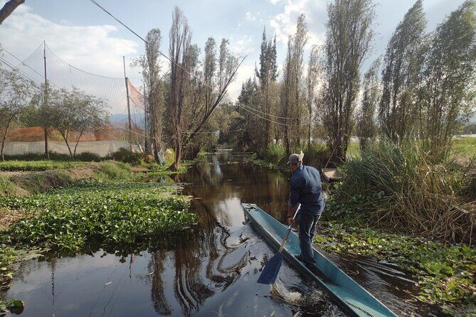 Pre-Hispanic Xochimilco and ajolotario. Private Ecotour. - The Itinerary Breakdown: What to Expect