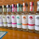 Pre-Hispanic Zapotec Heritage Guided Tour in Oaxaca - What Makes This Tour Valuable?