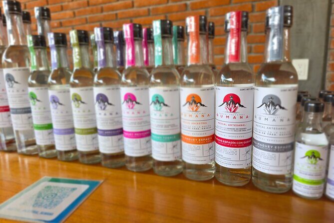 Pre-Hispanic Zapotec Heritage Guided Tour in Oaxaca - What Makes This Tour Valuable?