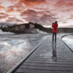 Predators of the Wild, Bear and Wolf Watching Adventure - The Experience in Practice