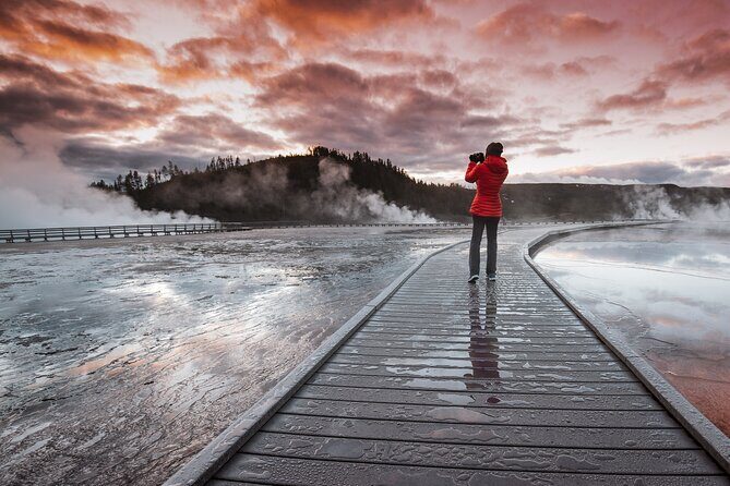 Predators of the Wild, Bear and Wolf Watching Adventure - The Experience in Practice