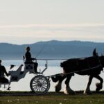 Premier Horse-Drawn Carriage Experience in Victoria - FAQs