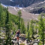 Premium Guided Hiking tours in Banff, Yoho & Kootenay - Authentic Insights from Reviews