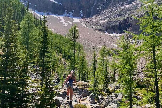 Premium Guided Hiking tours in Banff, Yoho & Kootenay - Authentic Insights from Reviews